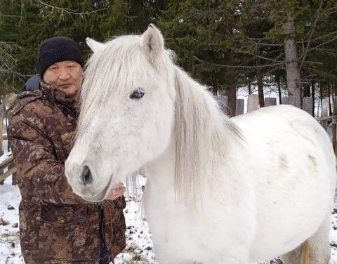 Из полиции – в коневоды: Аркадий Мордосов рассказал о своём хозяйстве