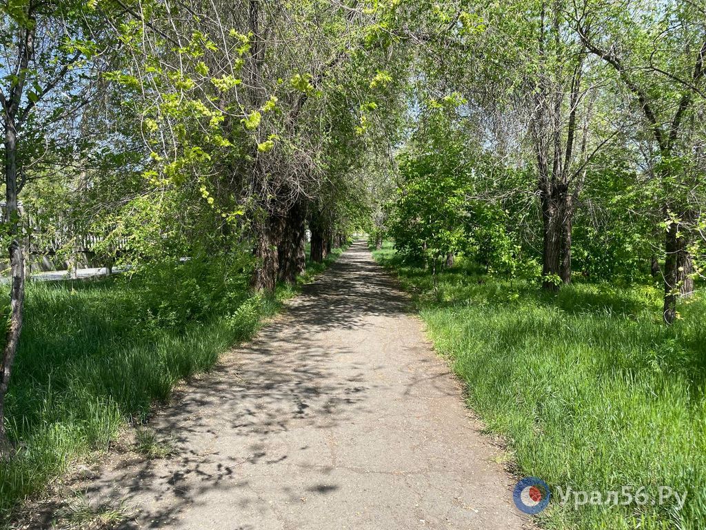 В Орске идет голосование за территории для благоустройства в 2027 году: Как выглядят предложенные варианты сейчас?