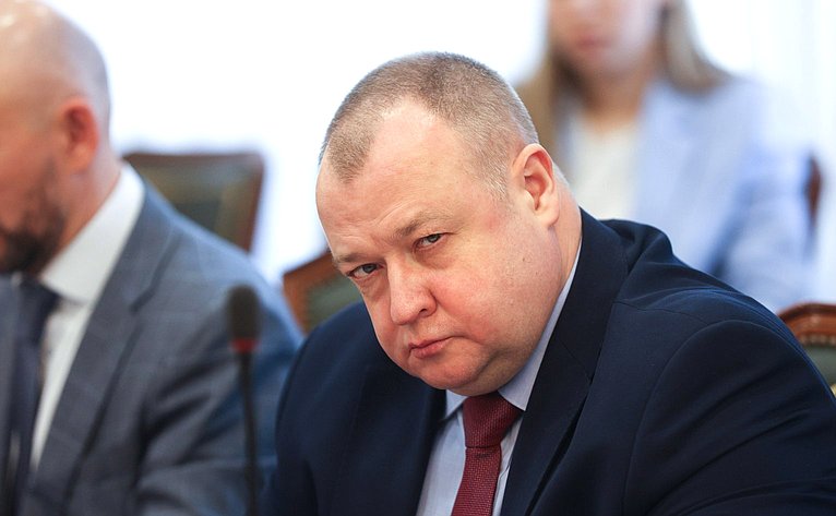 Встреча первого заместителя председателя Комитета СФ по международным делам с делегацией Республики Индии во главе с членом Народной палаты парламента Каниможи Карунанидхи