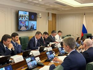 СГК предложила системные меры для развития переработки золошлаков на совещании в Совете Федерации