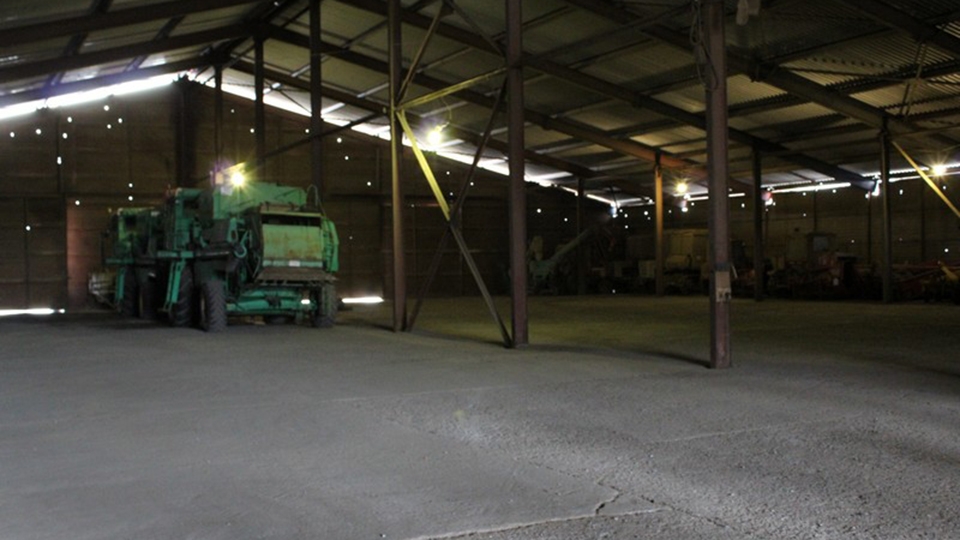 Зарница поволжья 2022. Золотой колос поволжья. Золотой колос лагерь август 2022. Золотой колос поволжья. Ооо золотой колос поволжья долгополов юрий иванович.