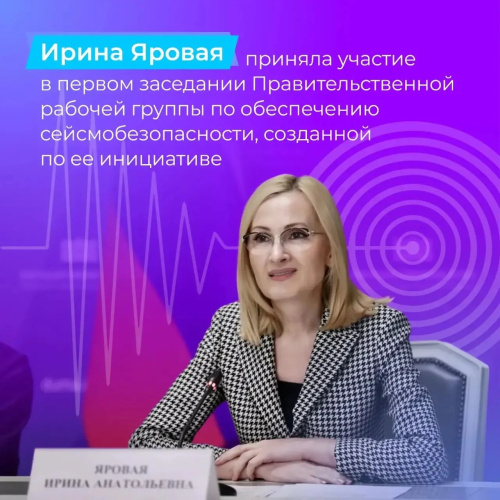 Ирина Яровая приняла участие в первом заседании рабочей группы по обеспечению сейсмобезопасности