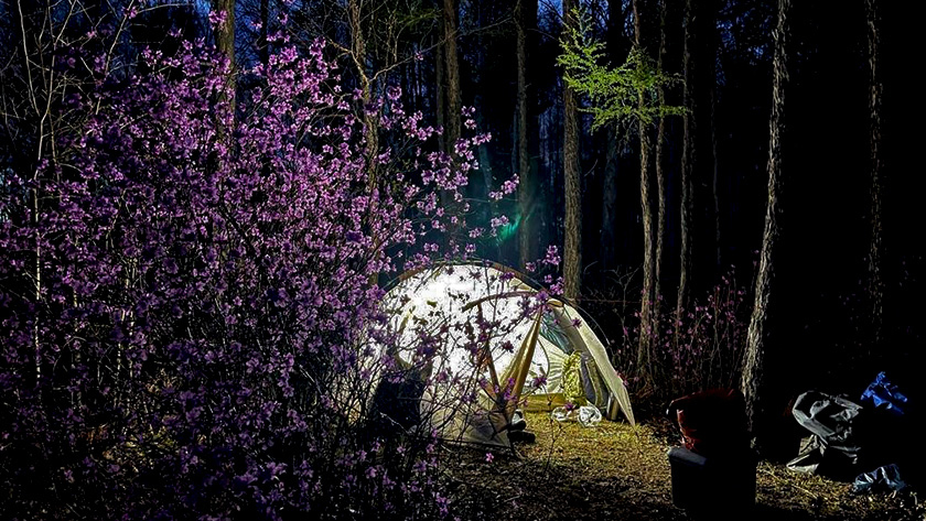 664 фильма сняли путешественники о Дальнем Востоке - gtrkamur.ru