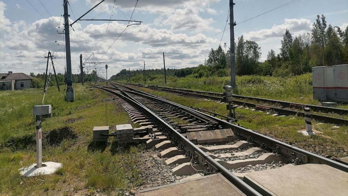 Фото: Елена Михина / MR7