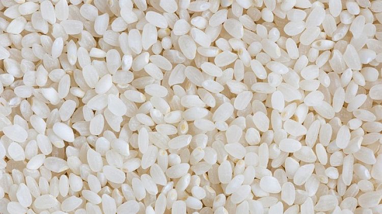 Производители риса заявляют о возможности экспортировать крупу