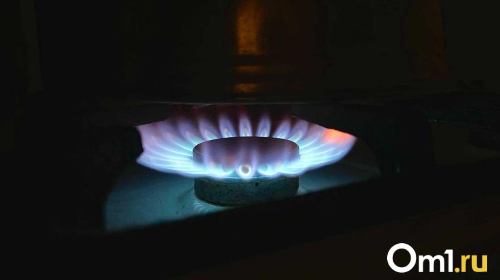 Жители Омской области останутся без газа до 2030 года