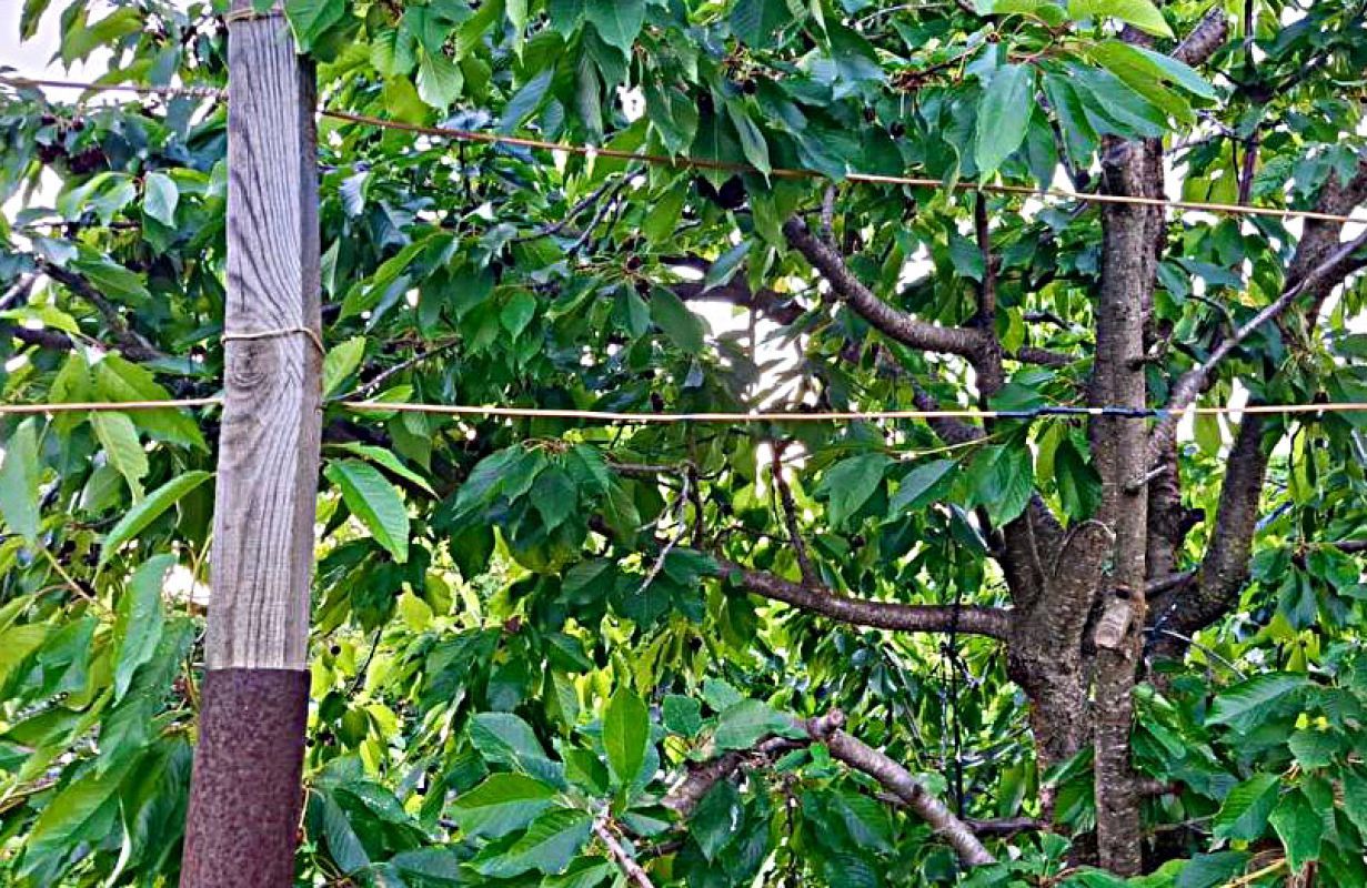 КаспийИнфо. Новости Астрахани и региона