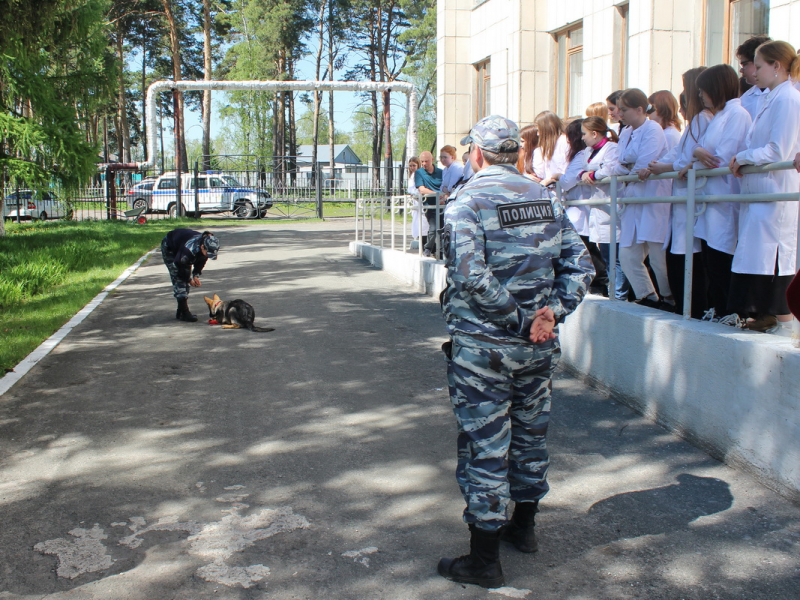 JPG Файл