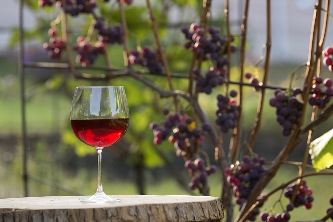 виноградник вино в бокале