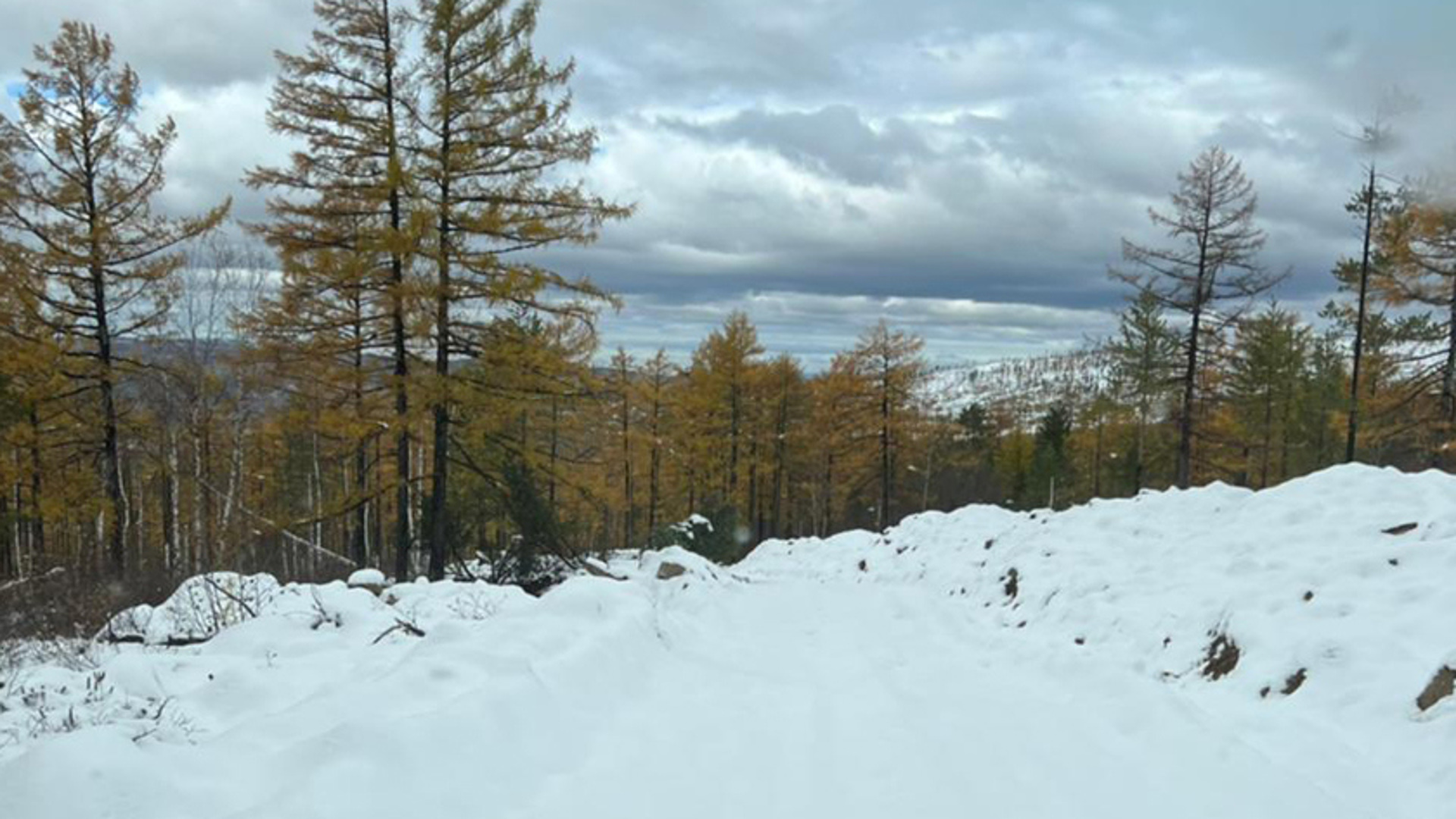 Погода в амурском крае