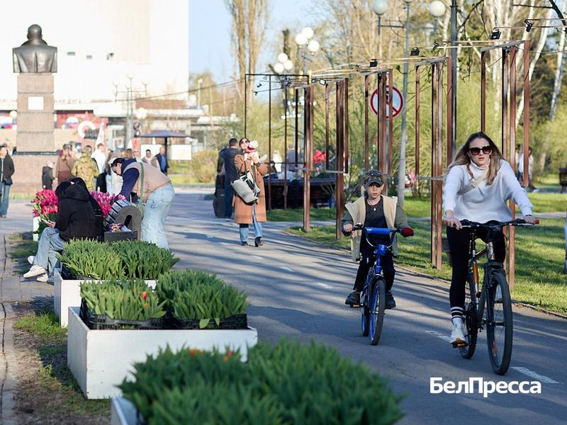 Как Белгород готовится отметить День Победы (фоторепортаж)