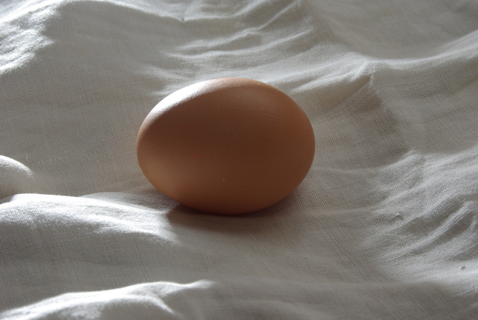 Российские фермеры столкнулись с кризисом из-за проблем с инкубационными яйцами