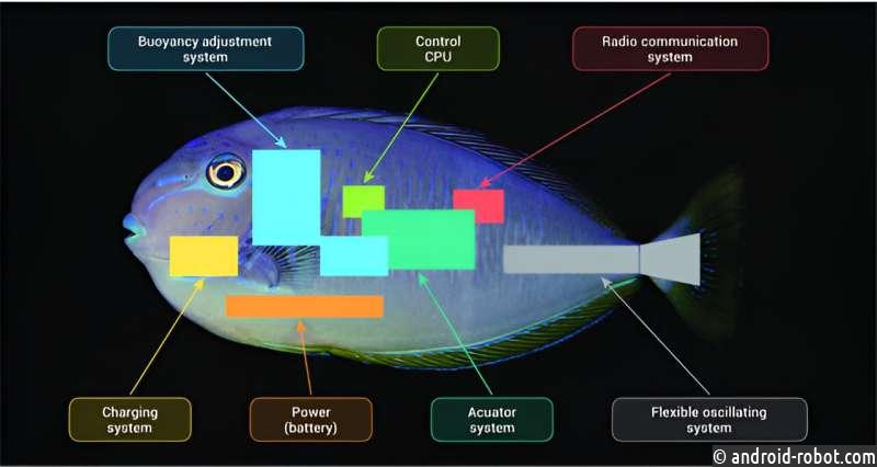 Разрабатывается глубоководный аппарат имитирующий рыбу