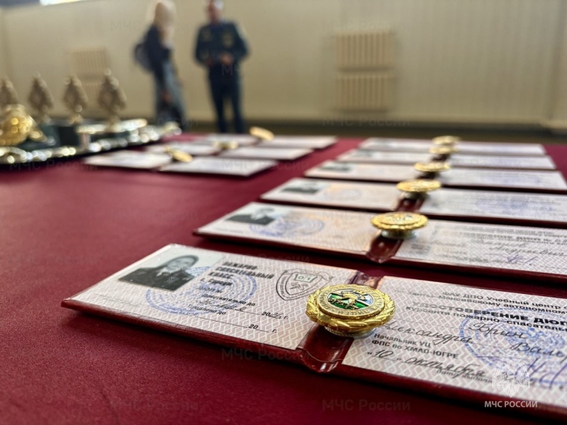 Сургутские школьники стали частью команды МЧС России