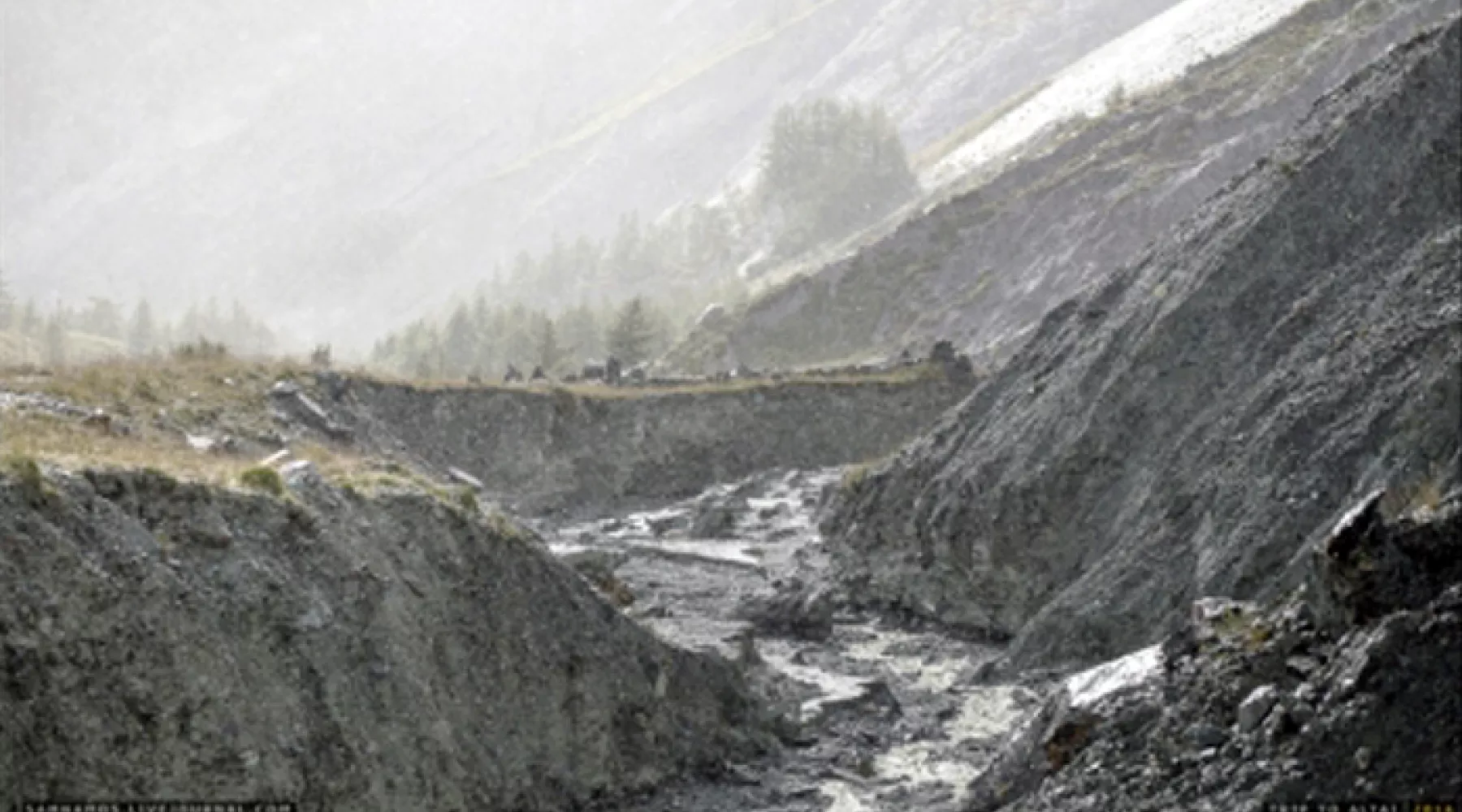 Туристы из Кузбасса терпят бедствие в горах Алтая