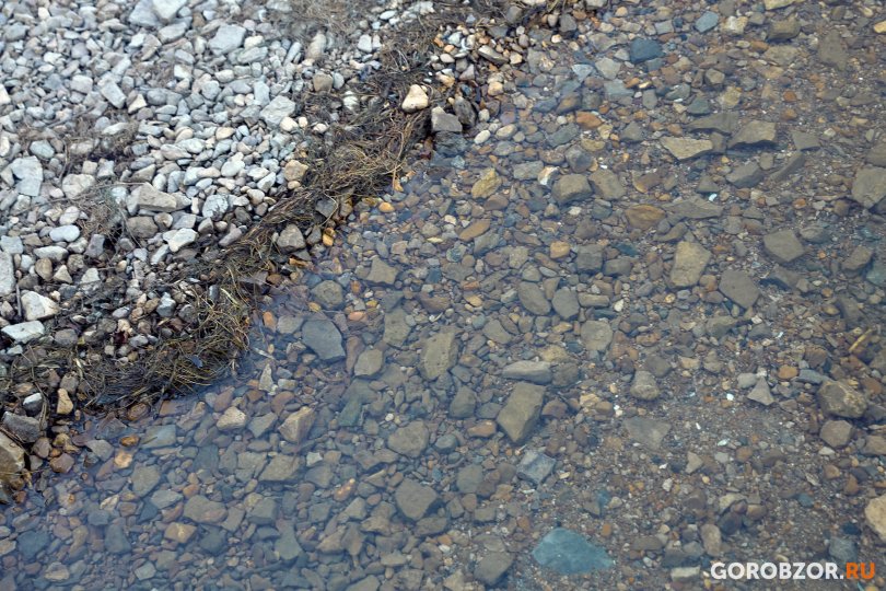 На водоемах Башкирии за сутки утонули трое мужчин