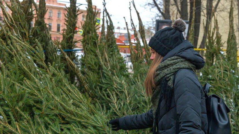 В Хабаровске начался сезон ёлочных базаров