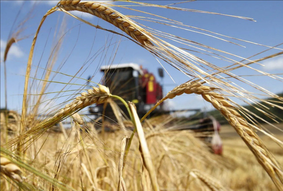 США отказываются от антироссийских санкций в отношении зерна и удобрений, — Госдеп