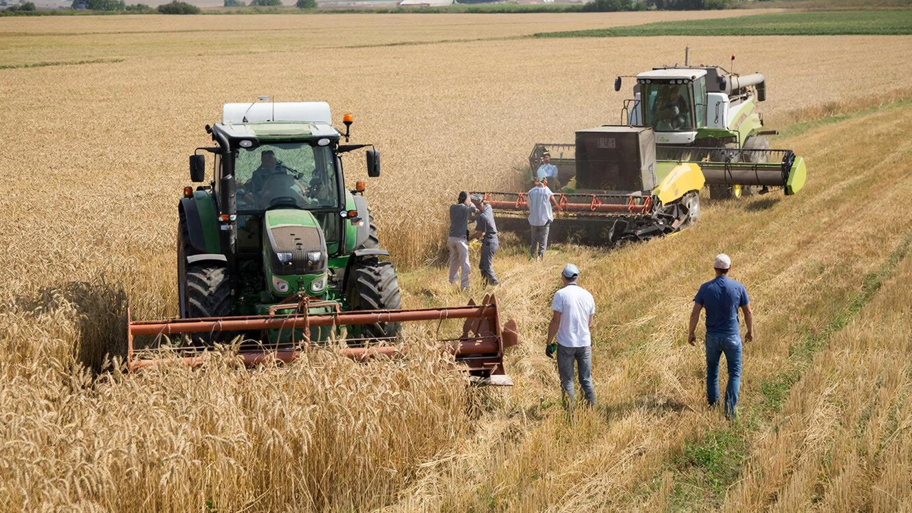 Около 25 млн рублей выделили на подбор сельхозработников Кубани