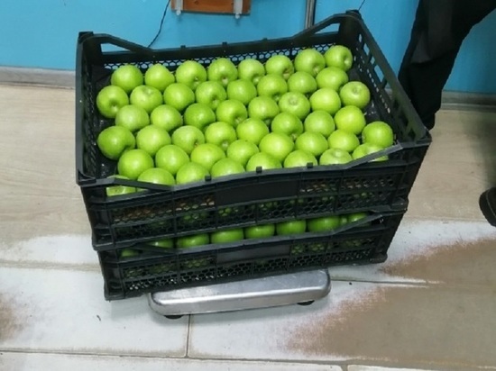 В приграничном городе Бурятии изъяли свежие фрукты без сертификатов