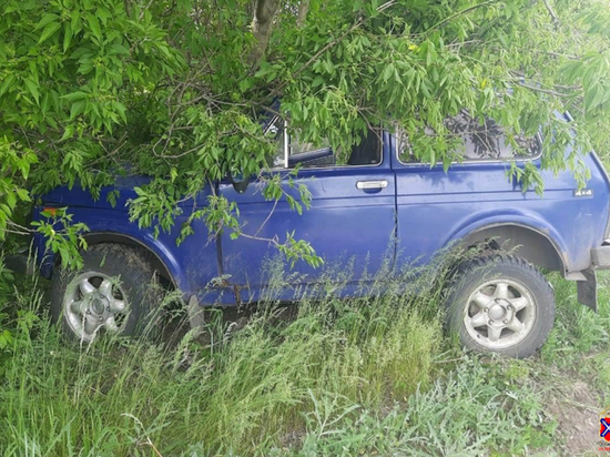 В Волгоградской области погиб 51-летний пассажир врезавшегося в дерево ВАЗа
