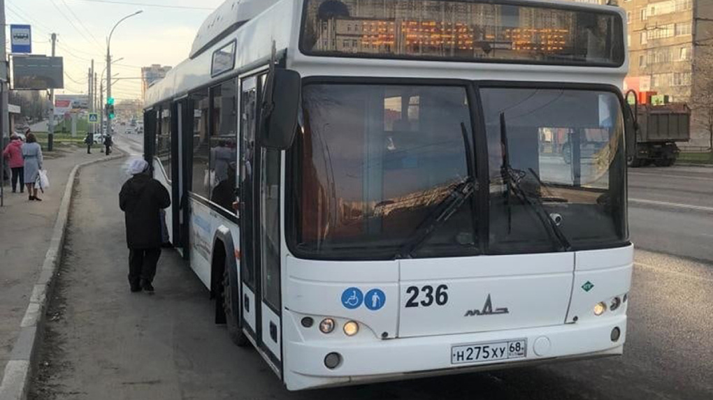 36 с рекламой тамбов. Лиаз-5256 автобус. Автобус чистые пруды тамбов 2024. Лиаз 5256 тамбов. 108 автобус тамбов.