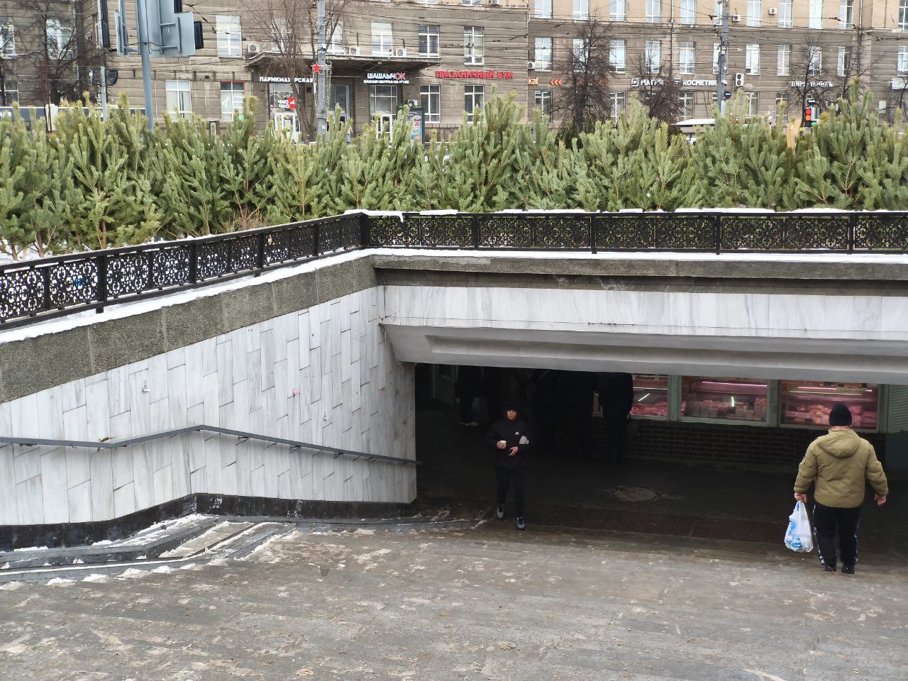 В Думе призвали ужесточить контроль за продажей ёлок в новогодние праздники