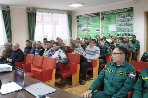 Лесхоз бурятии. Республиканское агентство лесного хозяйства Бурятия.