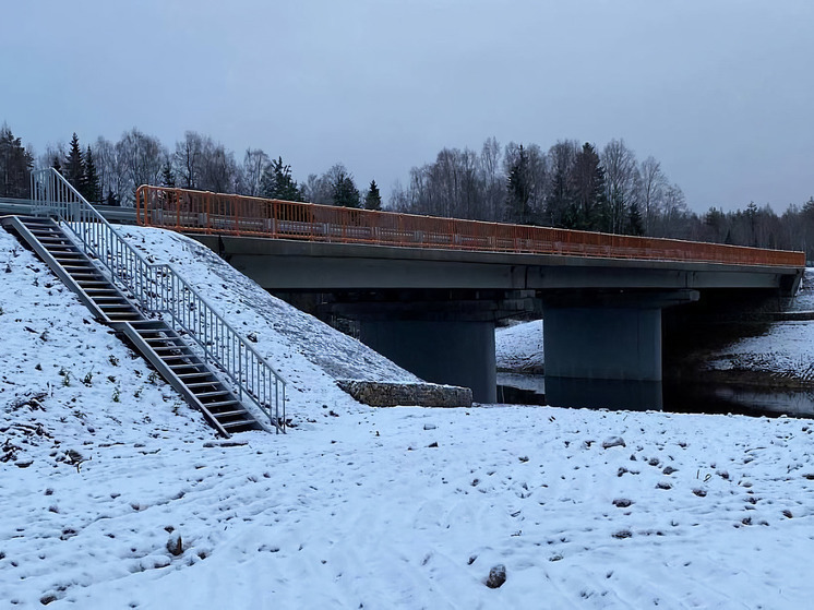 В Архангельской области в рамках дорожного нацпроекта отремонтируют 17 мостов