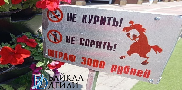В центре Улан-Удэ скоро развернут мини-парк с зелёной живностью 