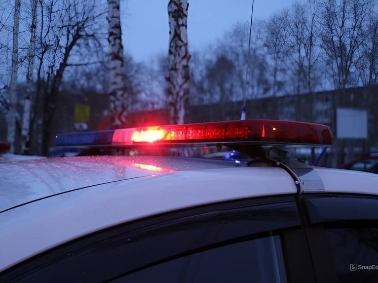 Обманувший дедушку асиновец предстанет перед судом за поддельные права