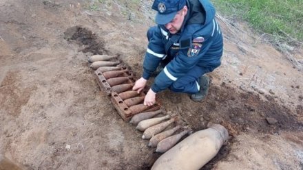 В Воронежской области уничтожили 17 снарядов времён Великой Отечественной войны