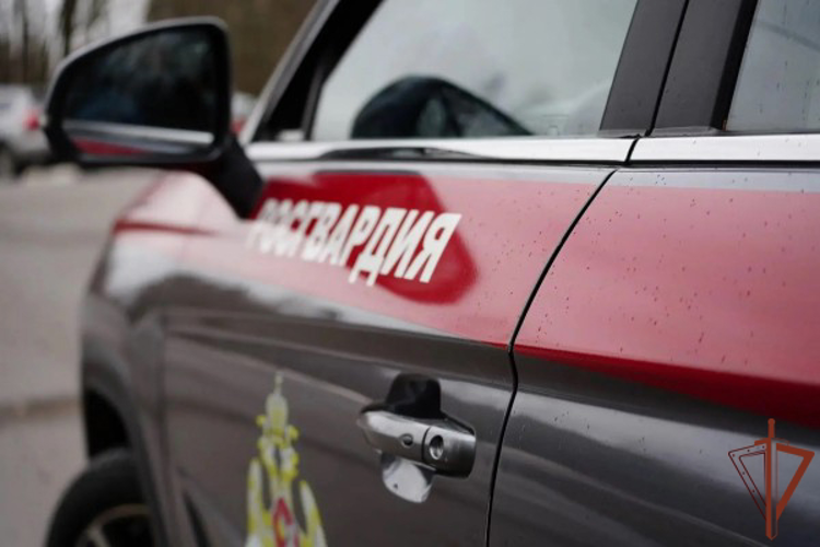 В Москве росгвардейцы задержали водителя автомобиля, находившегося в розыске