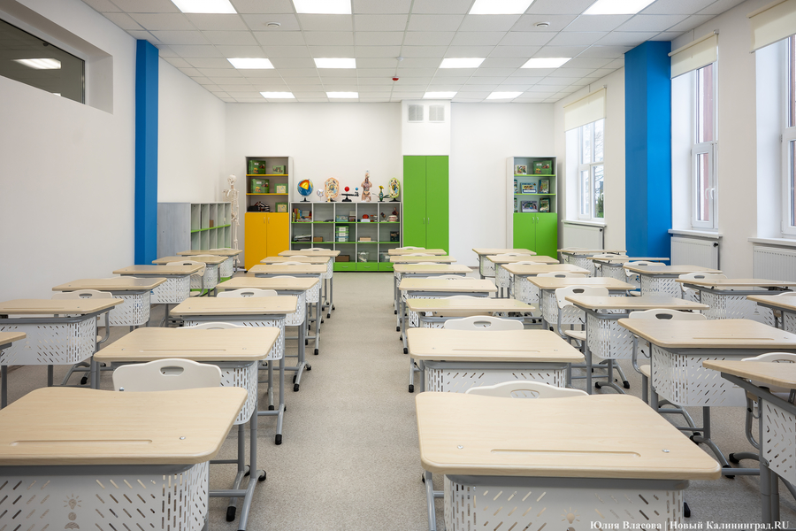 какие документы нужны для перевода ребенка в другую школу. образец заявления в школу о переводе ребенка в другую школу. причины перевода ребенка в другой класс. причины перевода ребенка в другой класс. количество вакантных мест для приема перевода.