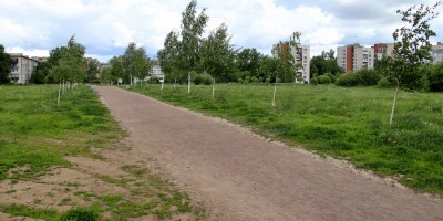 Купчинский сквер, аллея