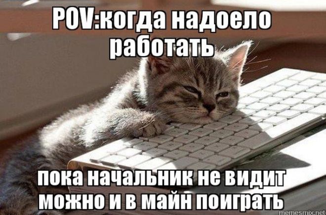 Пока работаю