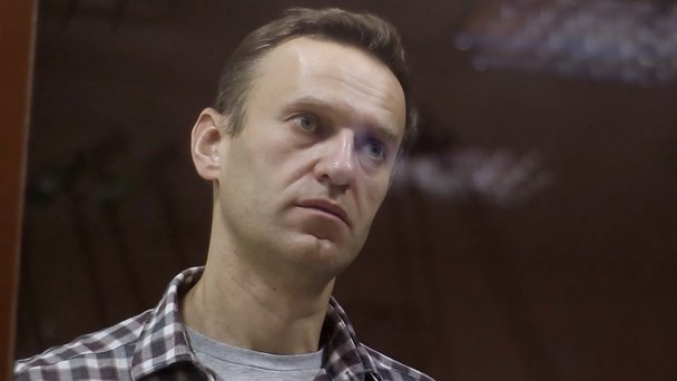 Алексей Навальный (Фото пресс-службы Бабушкинского суда / ТАСС)