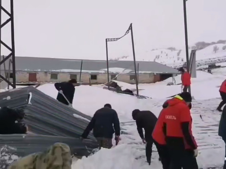 В Карачаево-Черкесии спасатели вытащили скот из-под обвалившейся крыши фермы