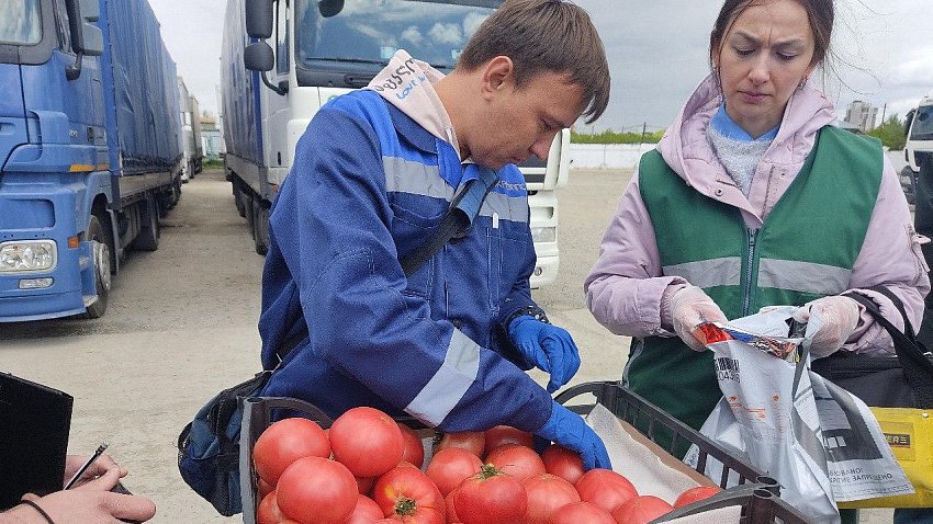 В Челябинск завезли рекордный объем фруктов и овощей