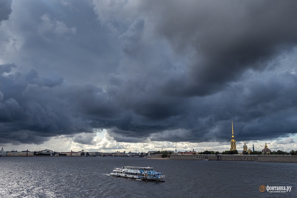 В петербурге дождь картинки