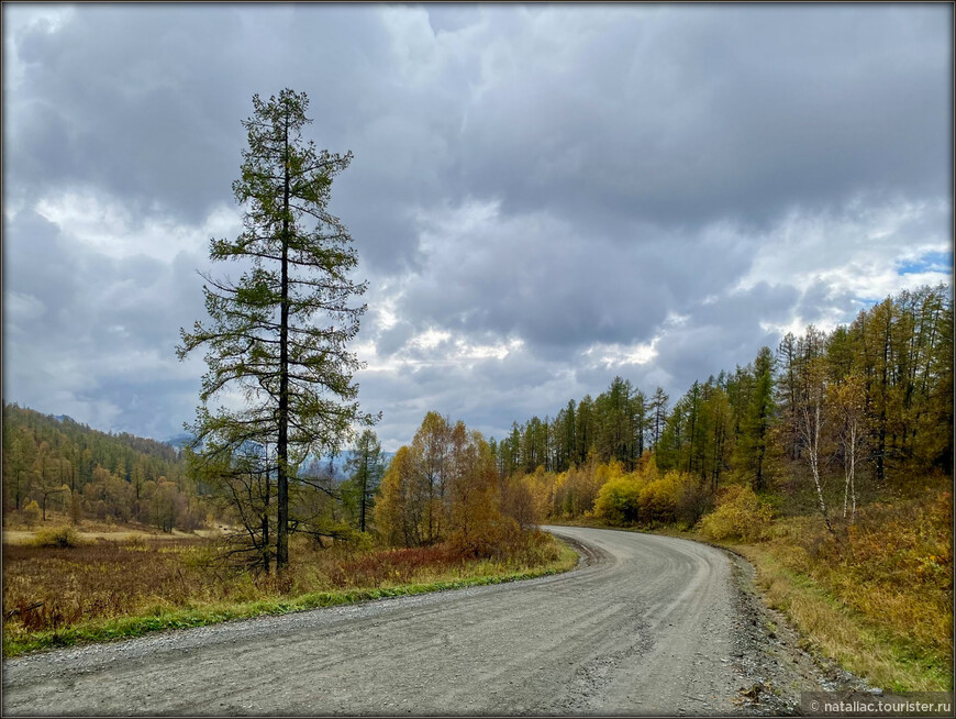 «Осенние краски Уймонской долины». Дорога, база и первые эмоции