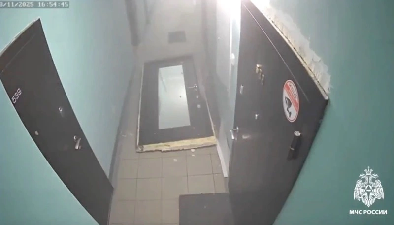 В Новосибирске собака включила плиту и взорвала баллончик дихлофоса