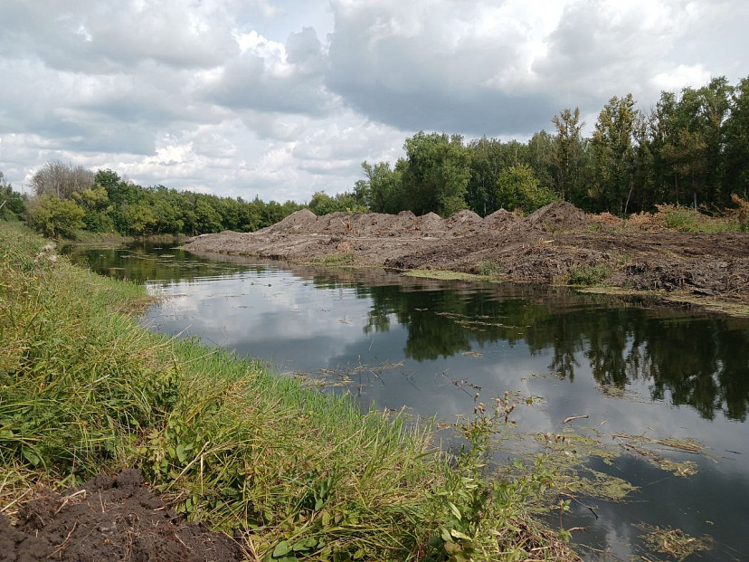 В Саратовской области после расчистки реки построят пляжный городок 