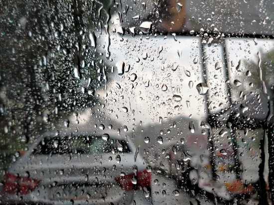 Дожди и похолодание придут в Томскую область к середине августа