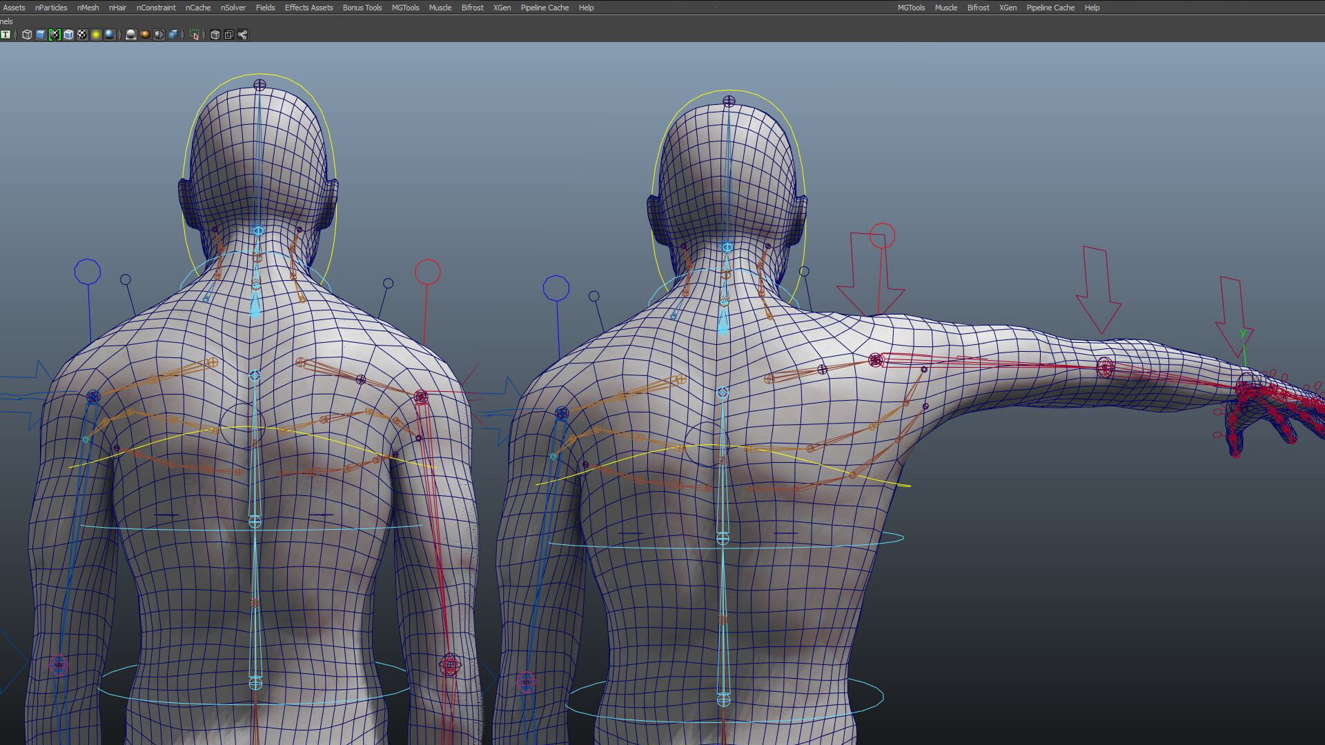 Blender 3d rigging. Риггинг в Maya. Blender 3d Rig плеча человека. Риггинг лица. Риггинг плеча.