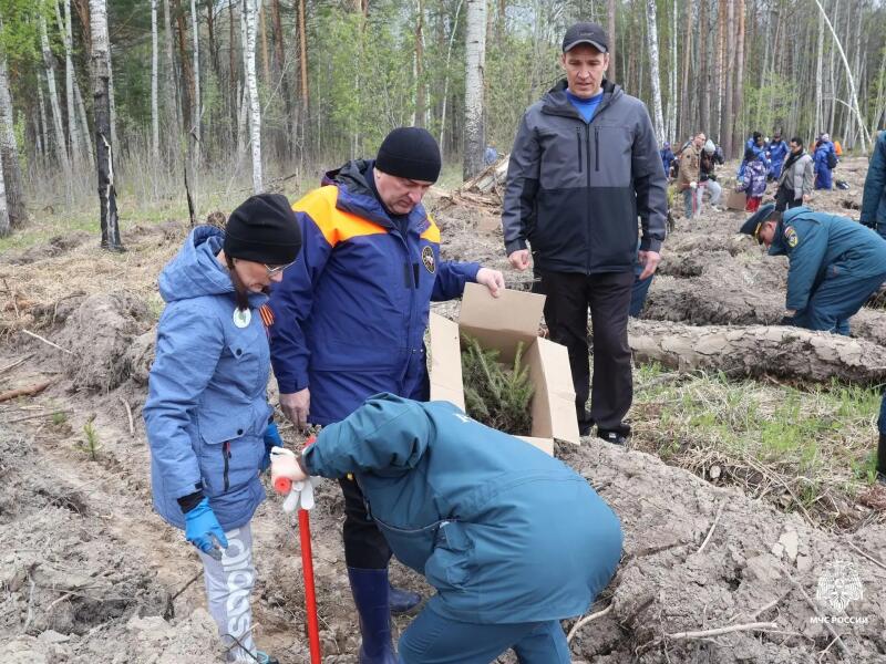 Томские спасатели посадили деревья в честь героев Великой Отечественной войны