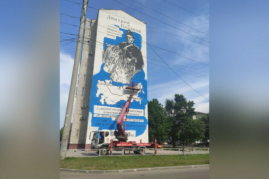 В Благовещенске на трех зданиях могут появиться огромные картины-муралы ...