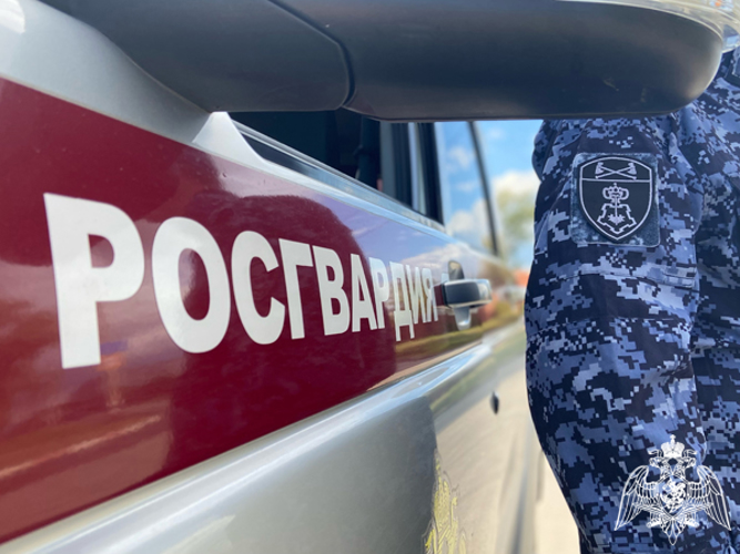 За прошедшую неделю ульяновские росгвардейцы выезжали 390 раз по сигналу «тревога»
