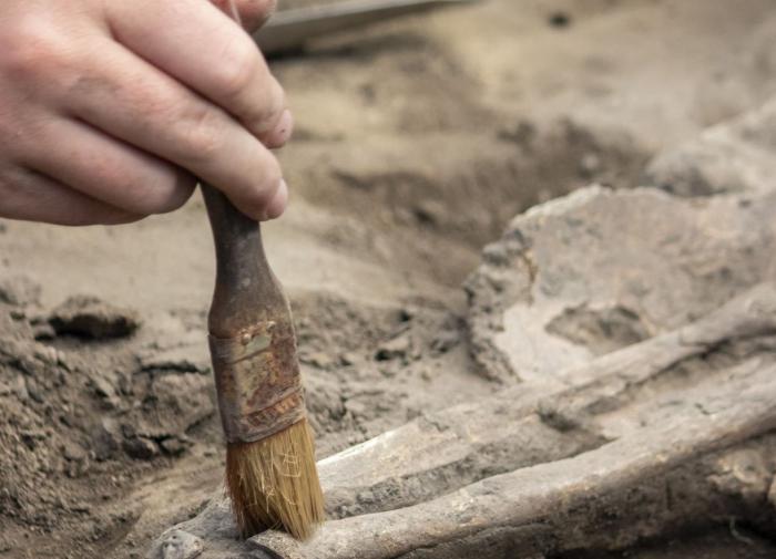 В Англии археологии обнаружили хорошо сохранившуюся деревню бронзового века