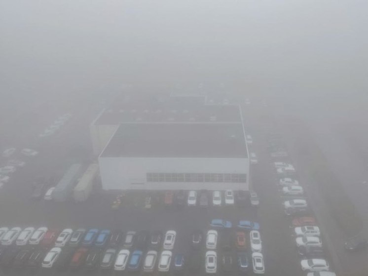 Туман рассеется: синоптик Леус рассказал о погоде в Петербурге 27 марта